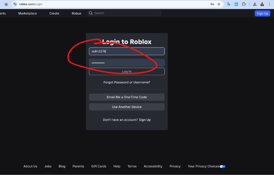 enter-roblox-login-details